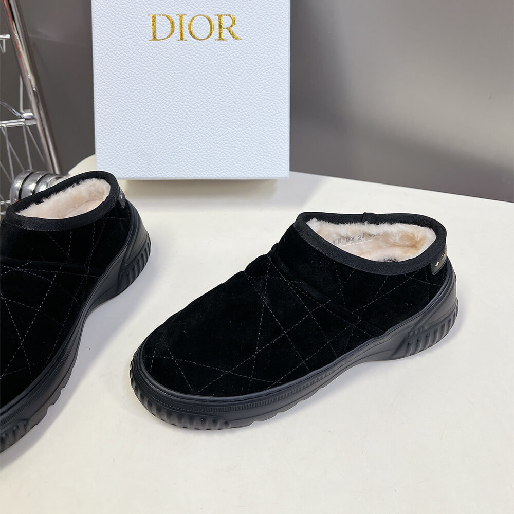 Dior Frost Ankle Boot